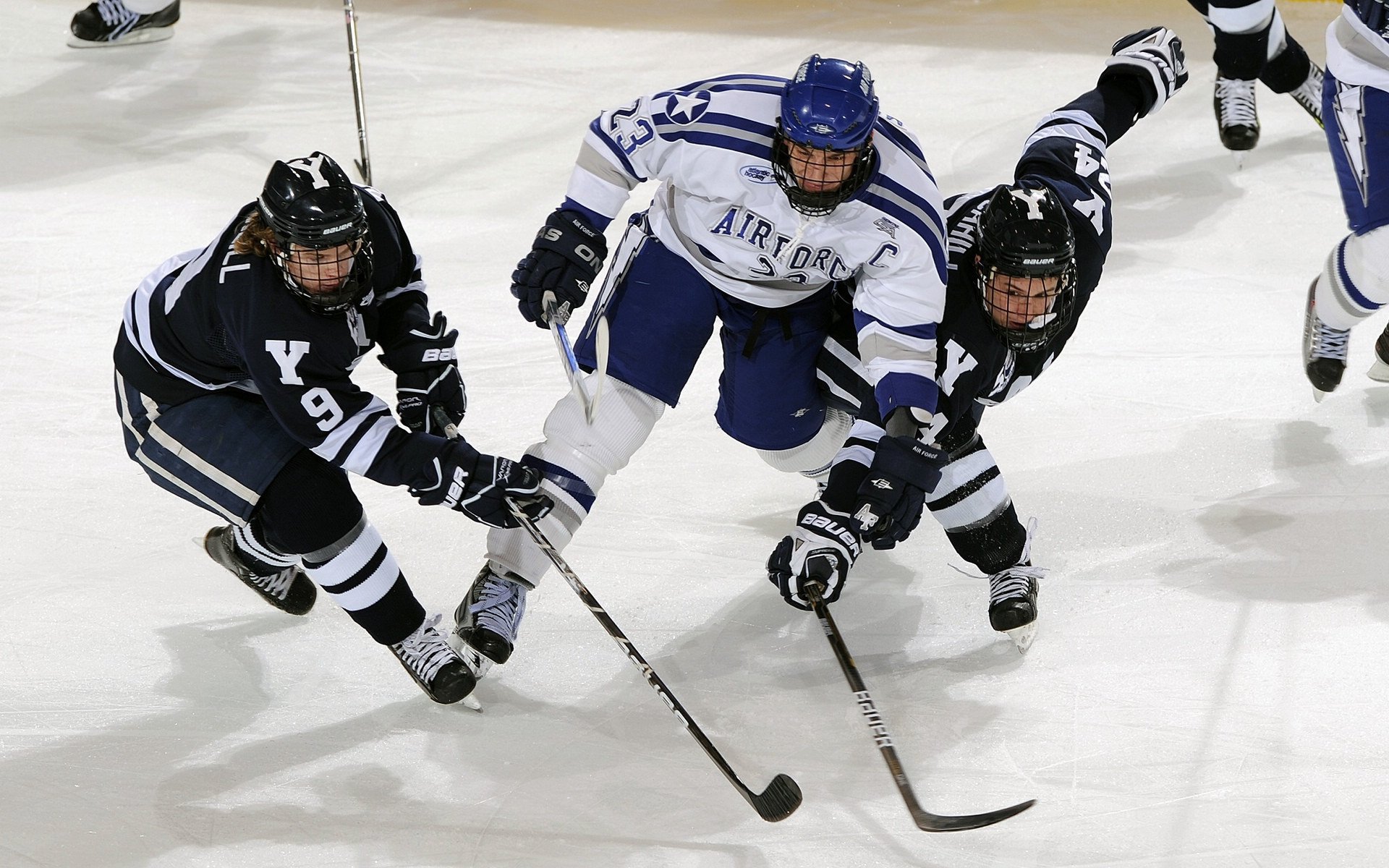 圣基茨和尼维斯举办国际街头运动节，圣基茨和尼维斯联邦是哪个国家